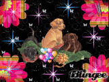 Kathie