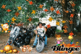 Fall