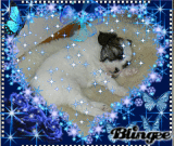 Little Alfons 3...