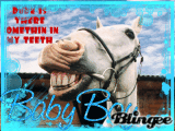 horse
