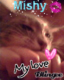 Mi Gatito