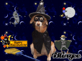 Cute Witch