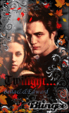 TWILIGHT~BELLA & EDWARD!!! (*o*)