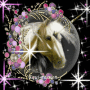 anubis_xx
