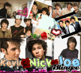 kevin, nick,and joe(jonas brothers)