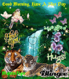 GOOD MORNING, HAVE A NICE DAY. MALUKUTIGER GOOD MORNING, HAVE A NICE DAY. MALUKUTIGER