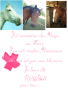mes loulou