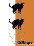 Halloween Kitties