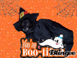 HALLOWEEN PRINCESS