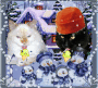 snow snow