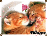 aww