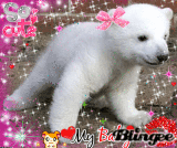 extremly cute polar bear