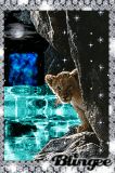 Lionbaby in the Night