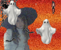 Halloween Halloween