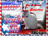 VOTE