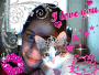 chaton2710