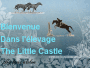 Bienvenue