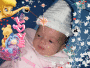 zoebebe