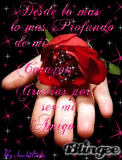 amigo