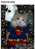super cat
