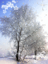 invierno