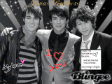 The jo bros