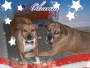 vote