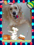 Awabi's birthday .. Nov 24