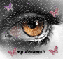 my dreams...