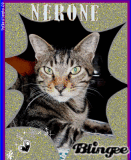 NERONE L'ORIENTALE