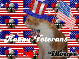 veterans day