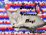 bailey veterans