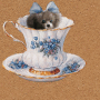 my cup of tea