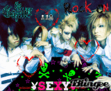 the gazettE