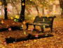 AUTUMN 3 @ngel@
