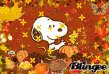 Happy Thanksgiving IV