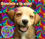 hippie dog