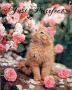 Just Purrfect.. Just Purrfect..