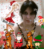 Red Rose Christmas 