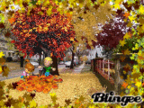 Fall Time on my street.
