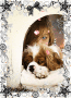 cucciolo & cucciola (puppy & puppy)