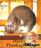 HAPPY THANKSGIVING