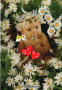 marghe!!!!!!!!!!!!!!!!!11111