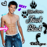 Taylor Lautner