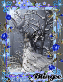 papillon des neiges