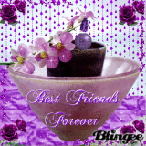Best Friends Forever