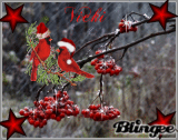 berries