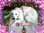 My Baby Dogy Gina