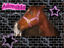 All i can think of is Horses