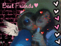 *eDy_&_eRy*